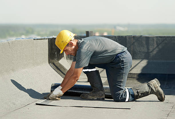 Best Insulation Maintenance and Repair in Harmony Grove, CA